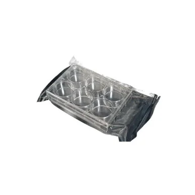 ibisscientific20260712095618943265